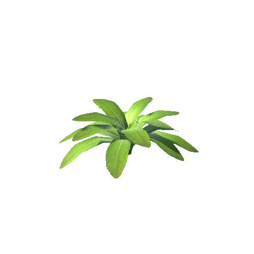 LowPoly Plant A01 (Autorot-scale)